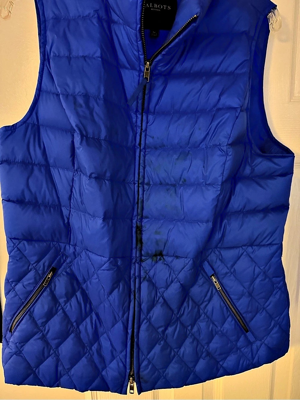 Talbots in Blue - Picture 2 of 6